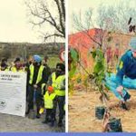 Indian American EcoSikh organization plants 400 sacred forests as part of climate action