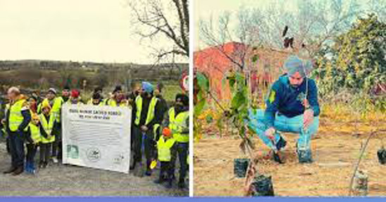 Indian American EcoSikh organization plants 400 sacred forests as part of climate action