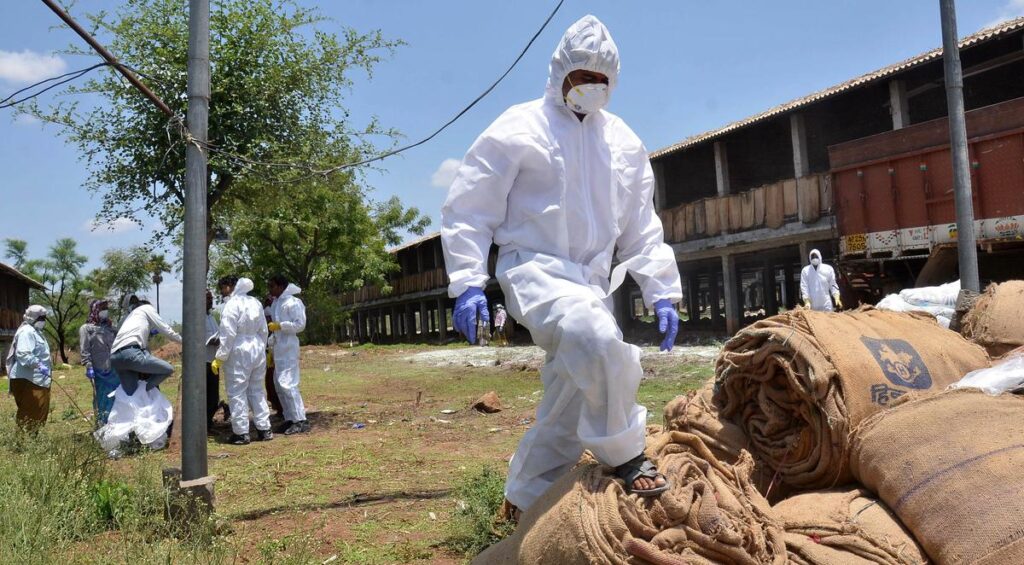 US bird flu