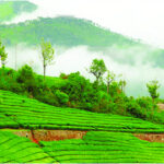 HILL