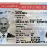 Relief to thousands US-EAD-Employment-Authorization-Card-USCIS-1059×706