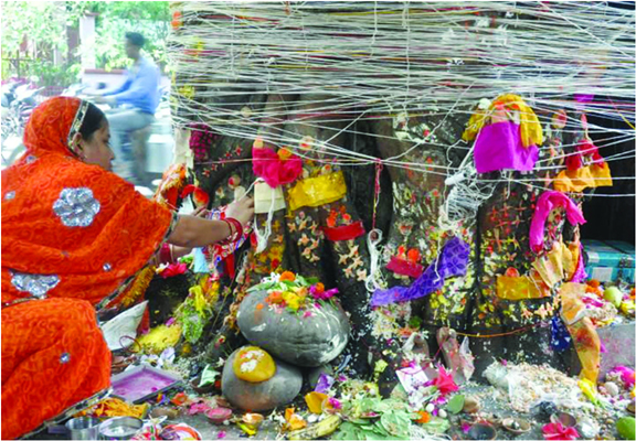 Somvati Amavasya
