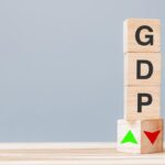 E 1 India GDP