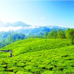 Monsoon Destinations