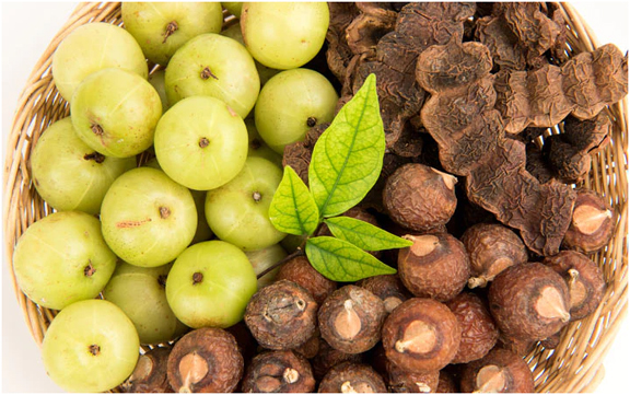 Use amla