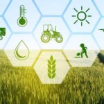 'Blockchain' technology has the potential to revolutionize the food supply chain by providing precise traceability, streamlined efficiency, enhanced security, improved collaboration, and sustainable transparency