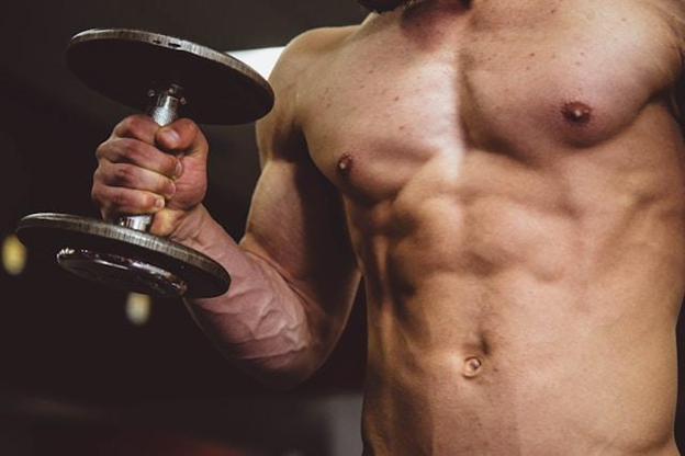 Muscle Gain and Fat Gain